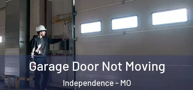  Garage Door Not Moving Independence - MO