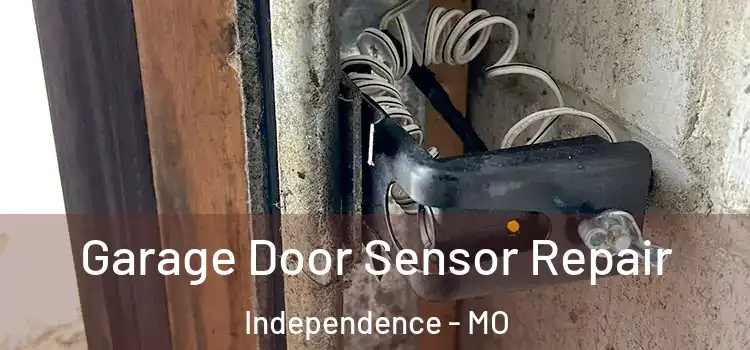  Garage Door Sensor Repair Independence - MO